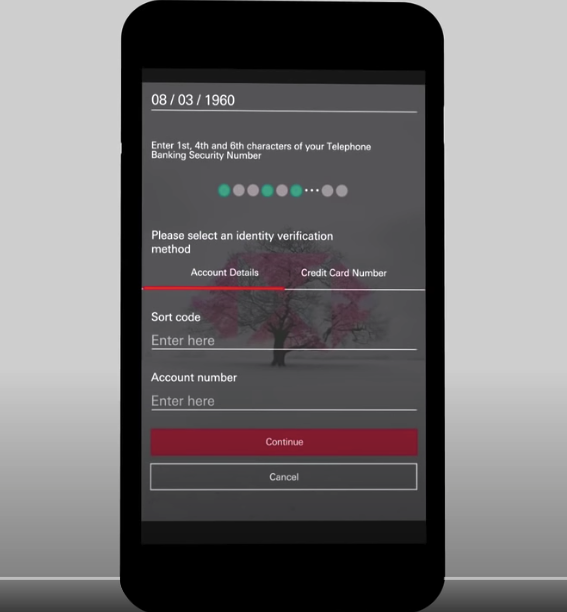 Príklad zadávania hesla HSBC