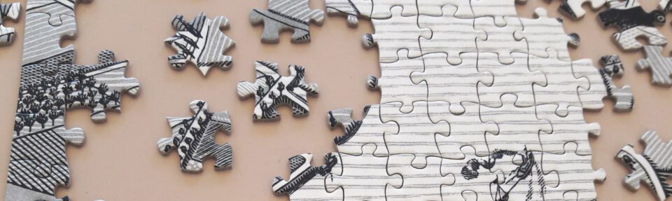 Prečo by ste mali integrovať software?