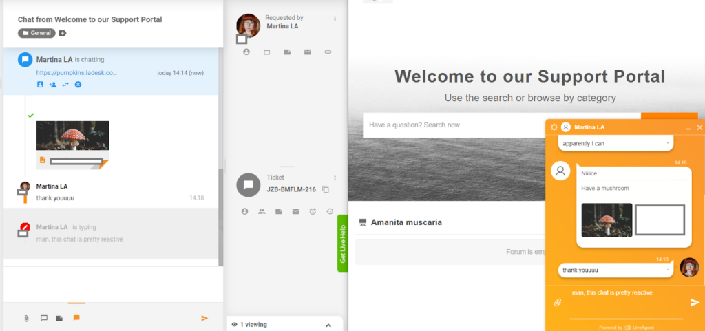 LiveAgent - náhľad písania v reálnom čase