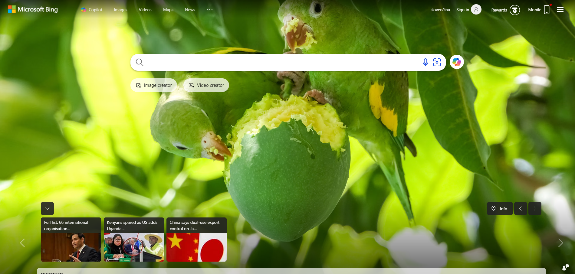 Kontakty na podporu Bing Help Desk