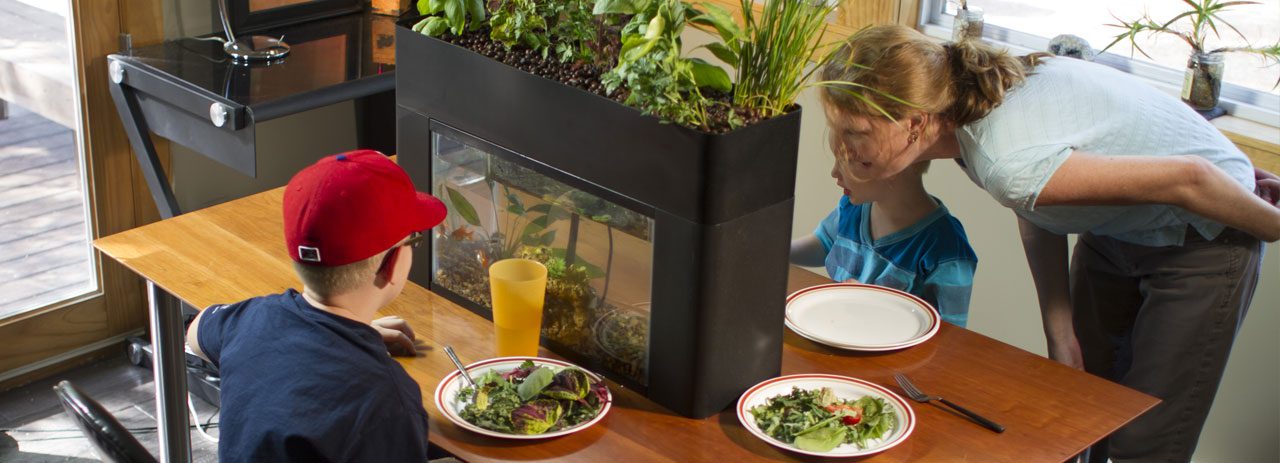 Udržateľnosť AquaSprouts