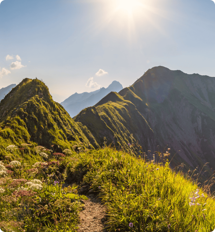 Ako ZlavaDna zlepšila zákaznícku podporu s LiveAgent